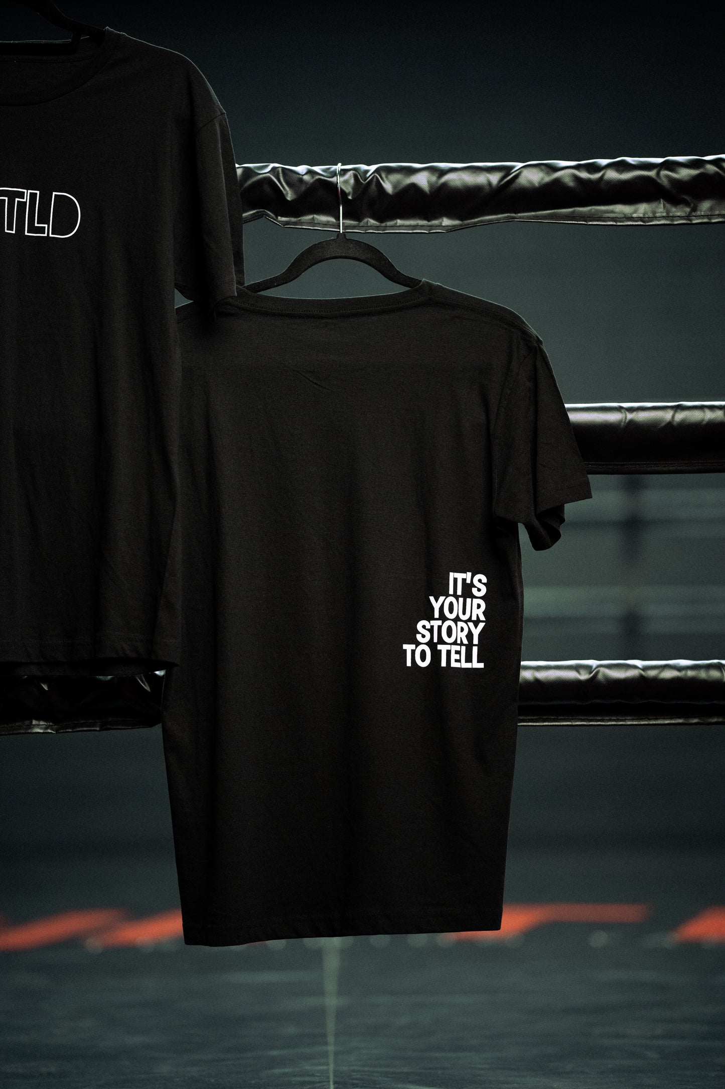 ITS' YOUR STORY TO TELL T-shirt